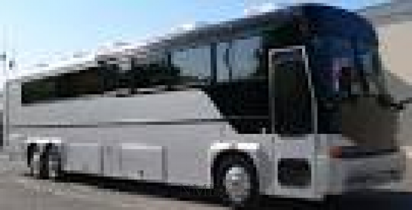 40 Passenger Party Bus