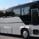 40 Passenger Party Bus