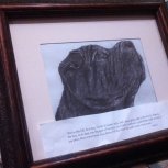 Donna's sketch of Sumo