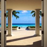 plantation_04390x390