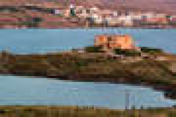 cimage_1086c60c50thumbt