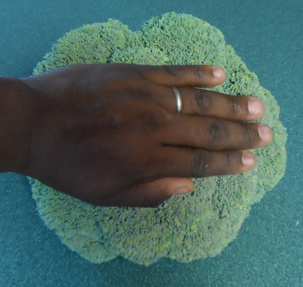 Keyhole Broccoli result