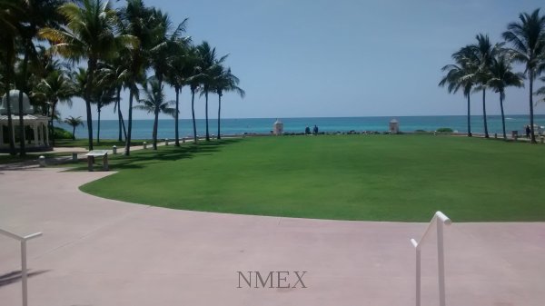 IMG_20160729_113947293