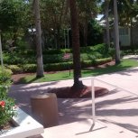 IMG_20160729_113954381