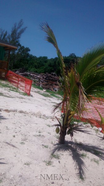 IMG_20160729_121206437