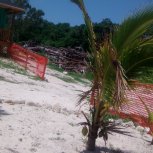 IMG_20160729_121206437