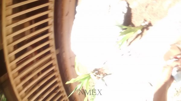 IMG_20160729_121542563