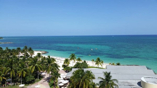 13872884_10206987151732834_3873980121234007268_n