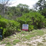Bahamas Realty