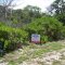 Bahamas Realty