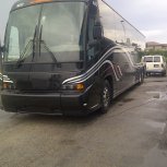 56 Passenger Bus Charters -White or Black